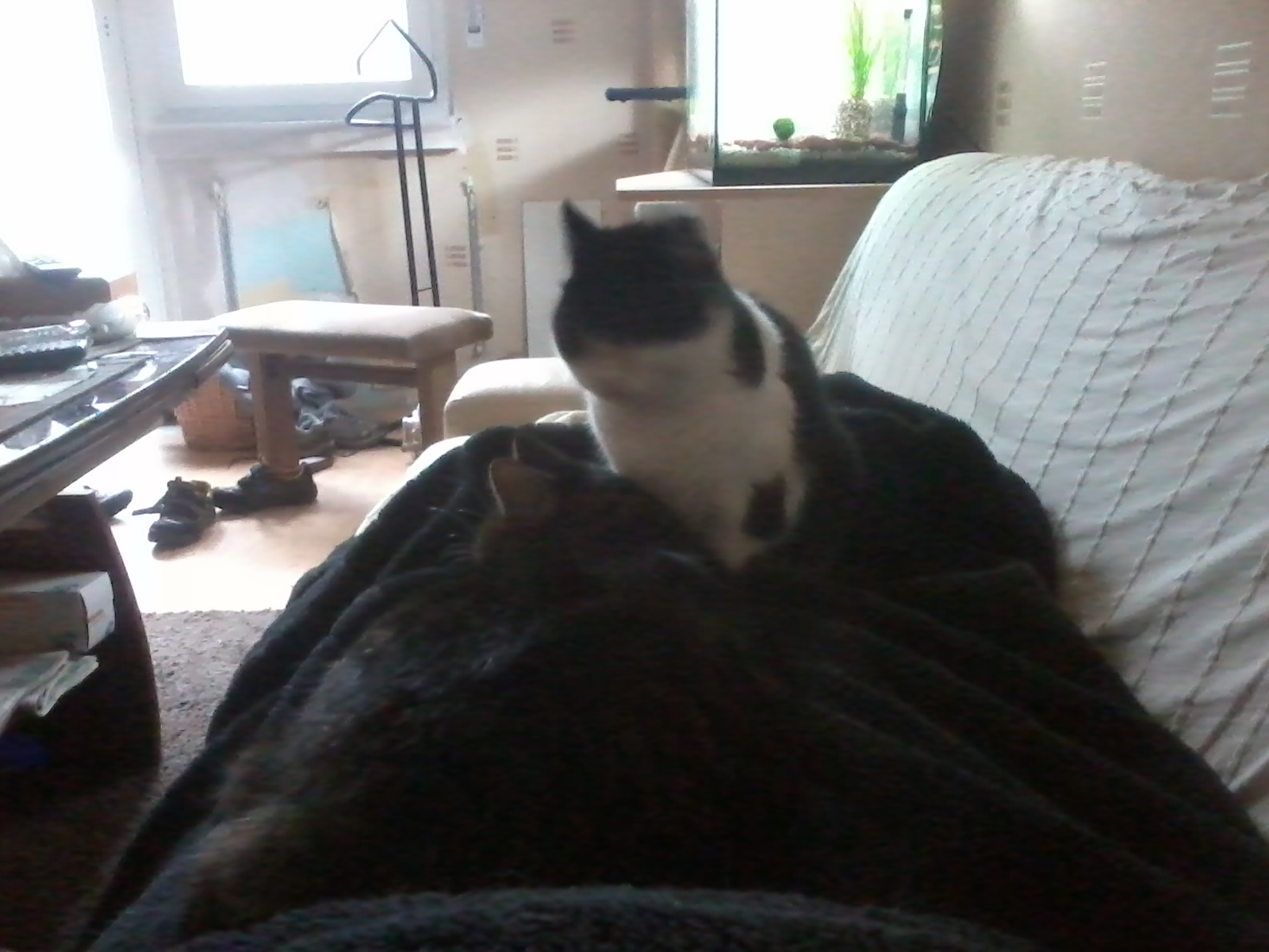 2013-05-20 11.58.30.jpg